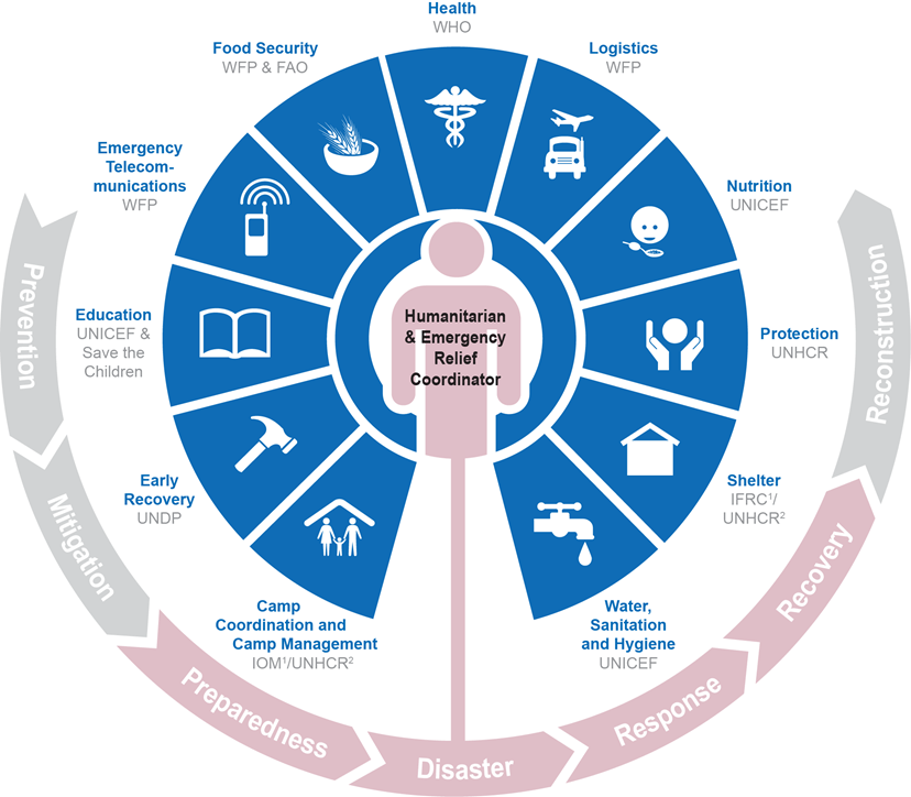 cluster approach